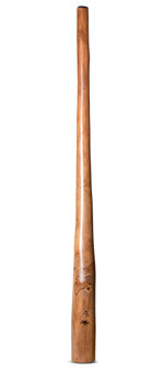 Tristan O'Meara Didgeridoo (TM342)